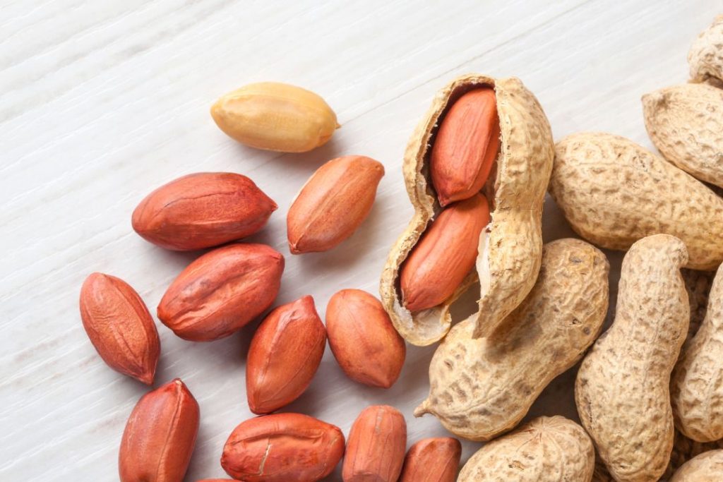 mesin kacang
